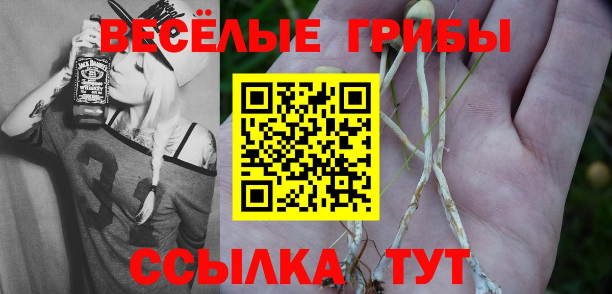 наркотики  Псилоцибиновые грибы ЛСД  Вход с VPN  Йошкар-Ола  Псилоцибиновые грибы GOLDEN TEACHER 